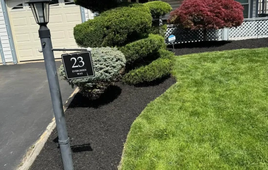 1 (4)