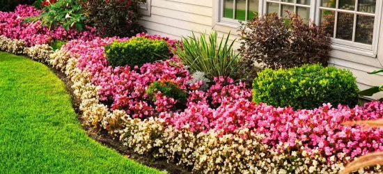 FLOWER-BEDS